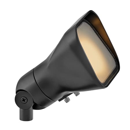 A large image of the Hinkley Lighting 55300 Satin Black