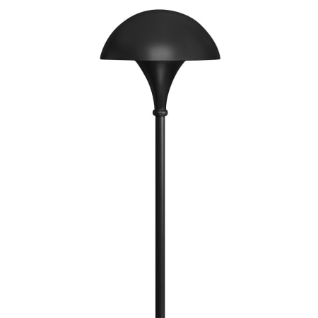 A large image of the Hinkley Lighting H56000 Black