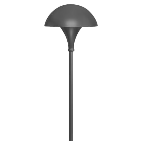 A large image of the Hinkley Lighting H56000 Charcoal Gray