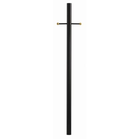A large image of the Hinkley Lighting 6667 Textured Black