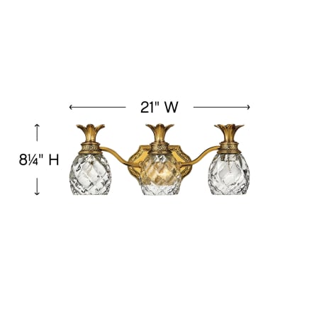 A large image of the Hinkley Lighting H5313 Alternate Image