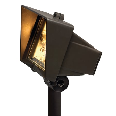 A large image of the Hinkley Lighting H1520 Bronze
