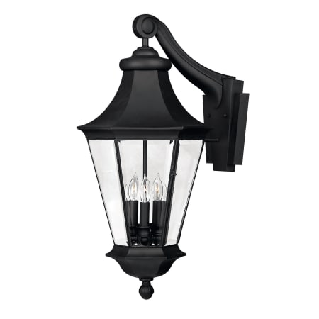 A large image of the Hinkley Lighting H2505 Black