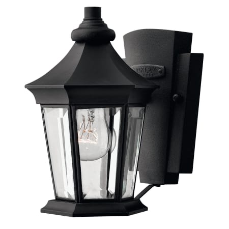 A large image of the Hinkley Lighting H2506 Black