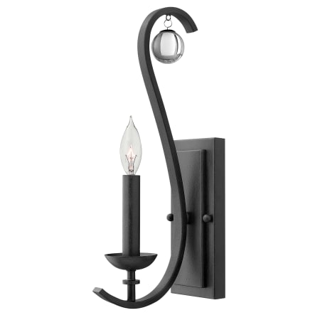 A large image of the Hinkley Lighting 4470 Textured Black