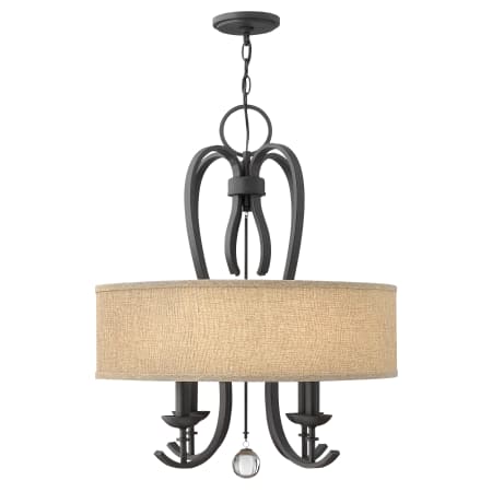 A large image of the Hinkley Lighting 4474 Textured Black