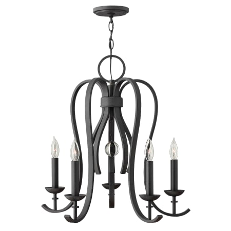 A large image of the Hinkley Lighting 4475 Textured Black