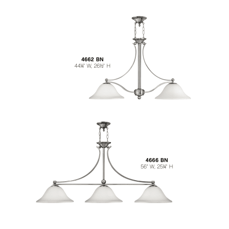 Hinkley Lighting 4662-OPAL A large image of the Hinkley Lighting 4662-OPAL Alternate View