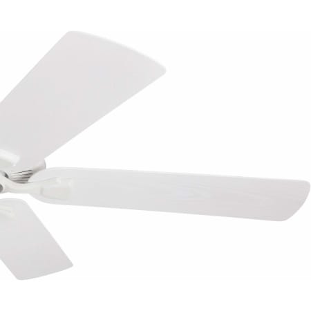 A large image of the Honeywell Ceiling Fans Belmar Alternate Image