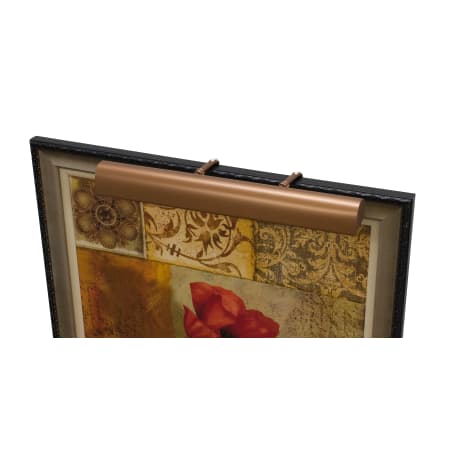 A large image of the House of Troy T24-CA Bronze