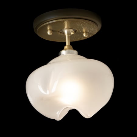 A large image of the Hubbardton Forge 121372-1242 Alternate Image