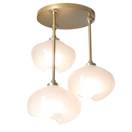 A large image of the Hubbardton Forge 121373-1026 Alternate Image