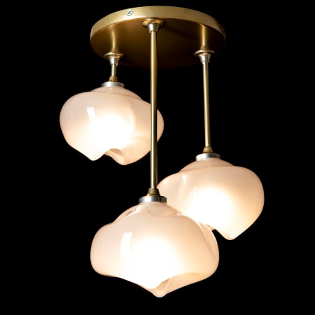A large image of the Hubbardton Forge 121373-1026 Alternate Image