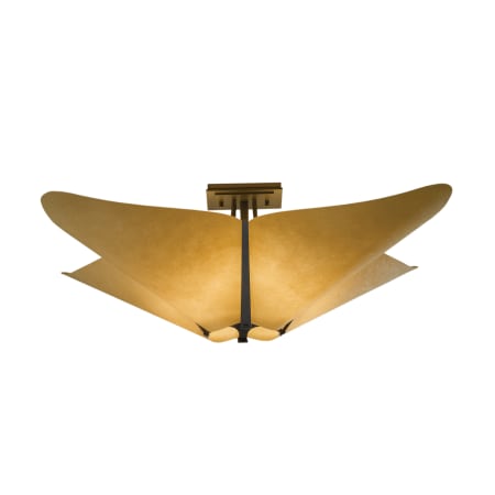 A large image of the Hubbardton Forge 123305 Hubbardton Forge 123305