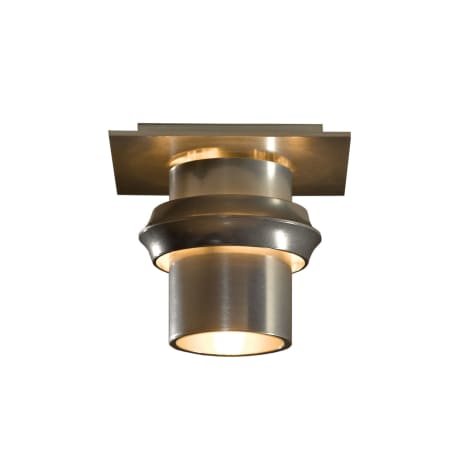 A large image of the Hubbardton Forge 124910 Alternate Image