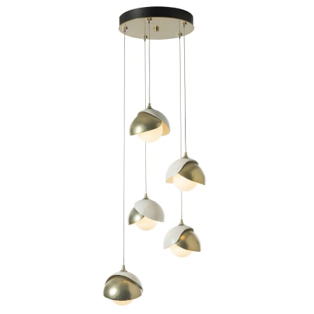 A large image of the Hubbardton Forge 131125 Alternate Image