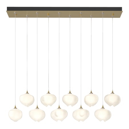 A large image of the Hubbardton Forge 131203-STANDARD Alternate Image