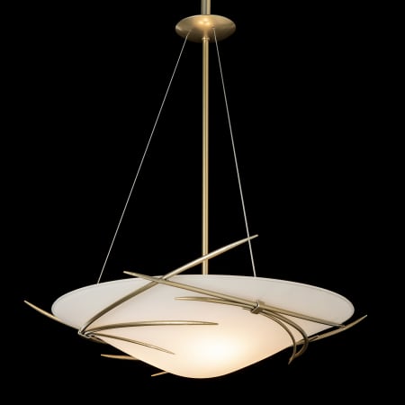 A large image of the Hubbardton Forge 131620 Alternate Image