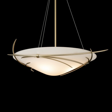 A large image of the Hubbardton Forge 131620 Alternate Image