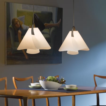 A large image of the Hubbardton Forge 134501 Alternate Image