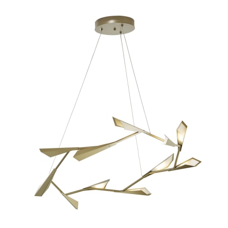 A large image of the Hubbardton Forge 135005-STANDARD Alternate Image