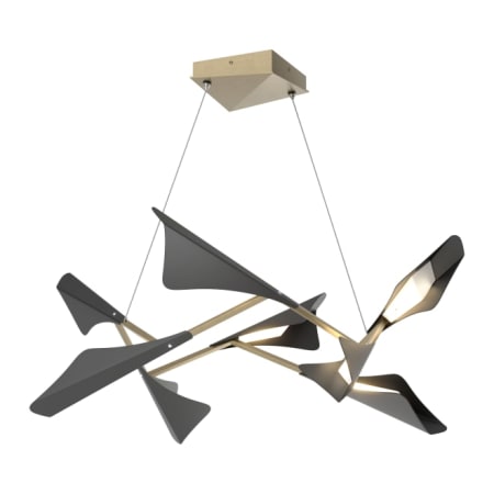 A large image of the Hubbardton Forge 135007-STANDARD Soft Gold / Black