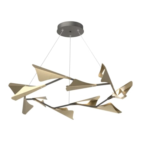 A large image of the Hubbardton Forge 135008-STANDARD Natural Iron / Soft Gold