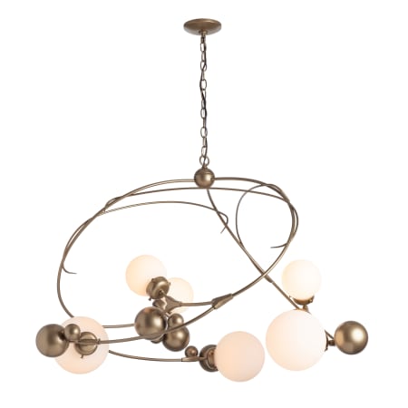 A large image of the Hubbardton Forge 136421-1024 Alternate Image