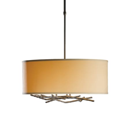 A large image of the Hubbardton Forge 137665 Hubbardton Forge 137665