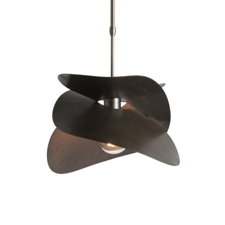 A large image of the Hubbardton Forge 139450 Alternate Image