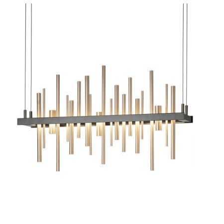 A large image of the Hubbardton Forge 139725-STANDARD Black / Soft Gold
