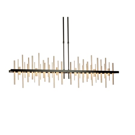 A large image of the Hubbardton Forge 139726-LONG Black / Soft Gold