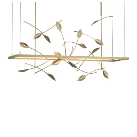 A large image of the Hubbardton Forge 139756-LONG Soft Gold