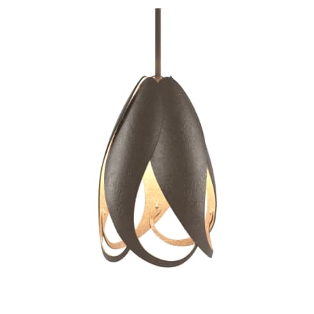 A large image of the Hubbardton Forge 188770 Bronze