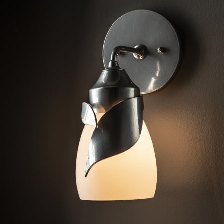 A large image of the Hubbardton Forge 201350 Alternate Image