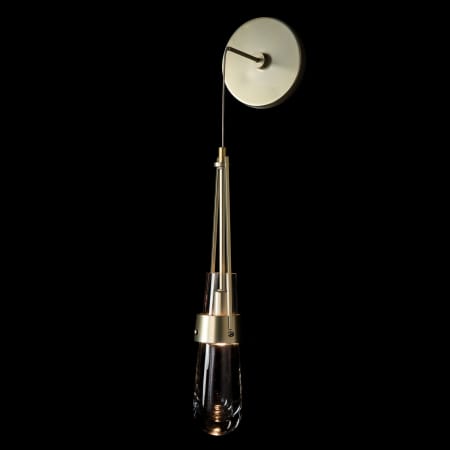 A large image of the Hubbardton Forge 201395-1008 Alternate Image