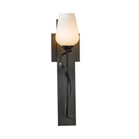 A large image of the Hubbardton Forge 203030 Alternate Image