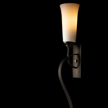 A large image of the Hubbardton Forge 204529 Alternate Image
