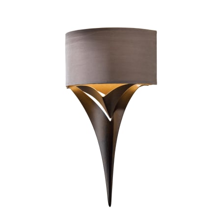 A large image of the Hubbardton Forge 205315 Alternate Image