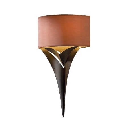 A large image of the Hubbardton Forge 205315 Alternate Image