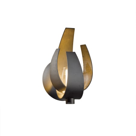 A large image of the Hubbardton Forge 206501 Alternate Image