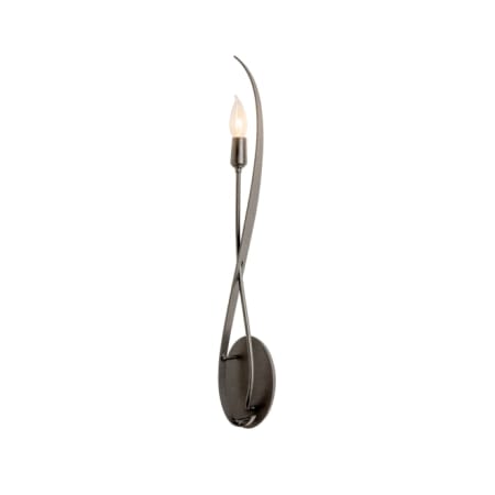 A large image of the Hubbardton Forge 209120 Natural Iron