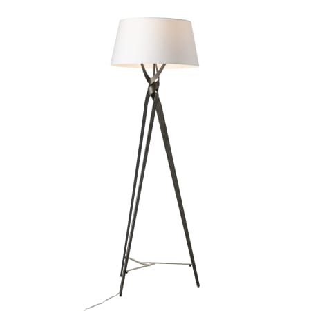 A large image of the Hubbardton Forge 241102 Alternate Image