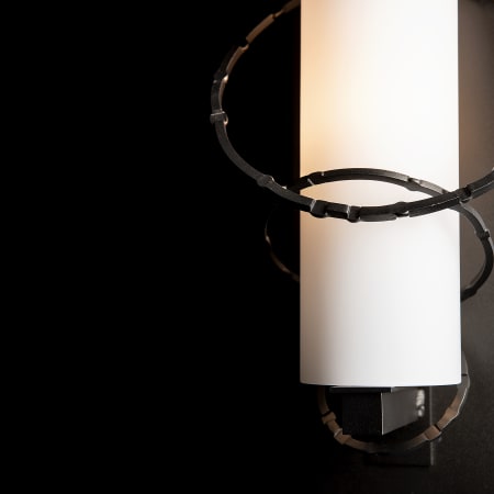 A large image of the Hubbardton Forge 302402 Alternate Image