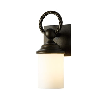 A large image of the Hubbardton Forge 303082 Alternate Image