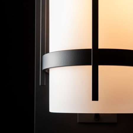 A large image of the Hubbardton Forge 305895 Alternate Image