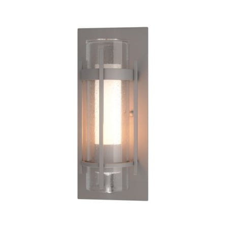 A large image of the Hubbardton Forge 305896 Coastal Burnished Steel / Seedy