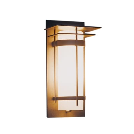 A large image of the Hubbardton Forge 305993 Coastal Natural Iron / Opal