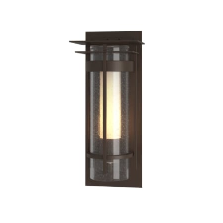 A large image of the Hubbardton Forge 305996 Coastal Bronze / Seedy