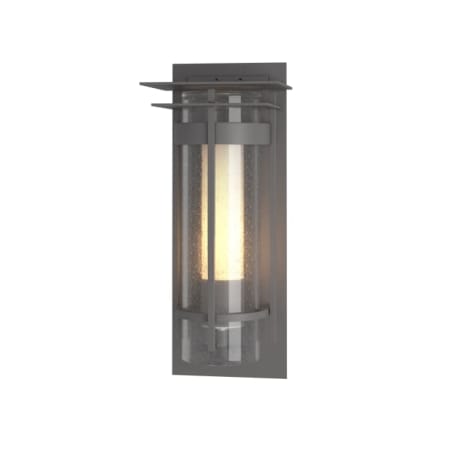 A large image of the Hubbardton Forge 305996 Coastal Burnished Steel / Seedy